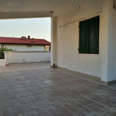 Petra * Vrsi